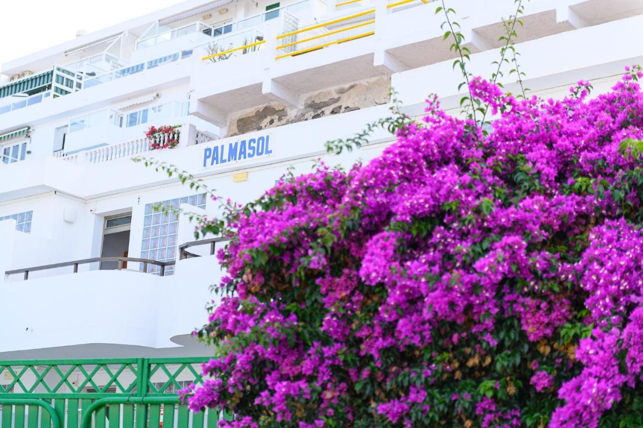 Palmasol Apartamentos Puerto Rico  Exterior photo
